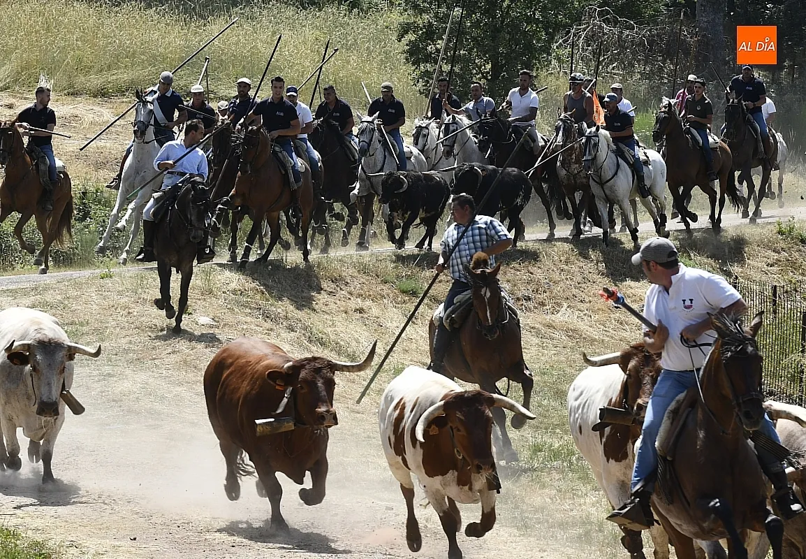 Encierro a Caballo en Navasfrías/ Fotos: Adrián M.Pastor