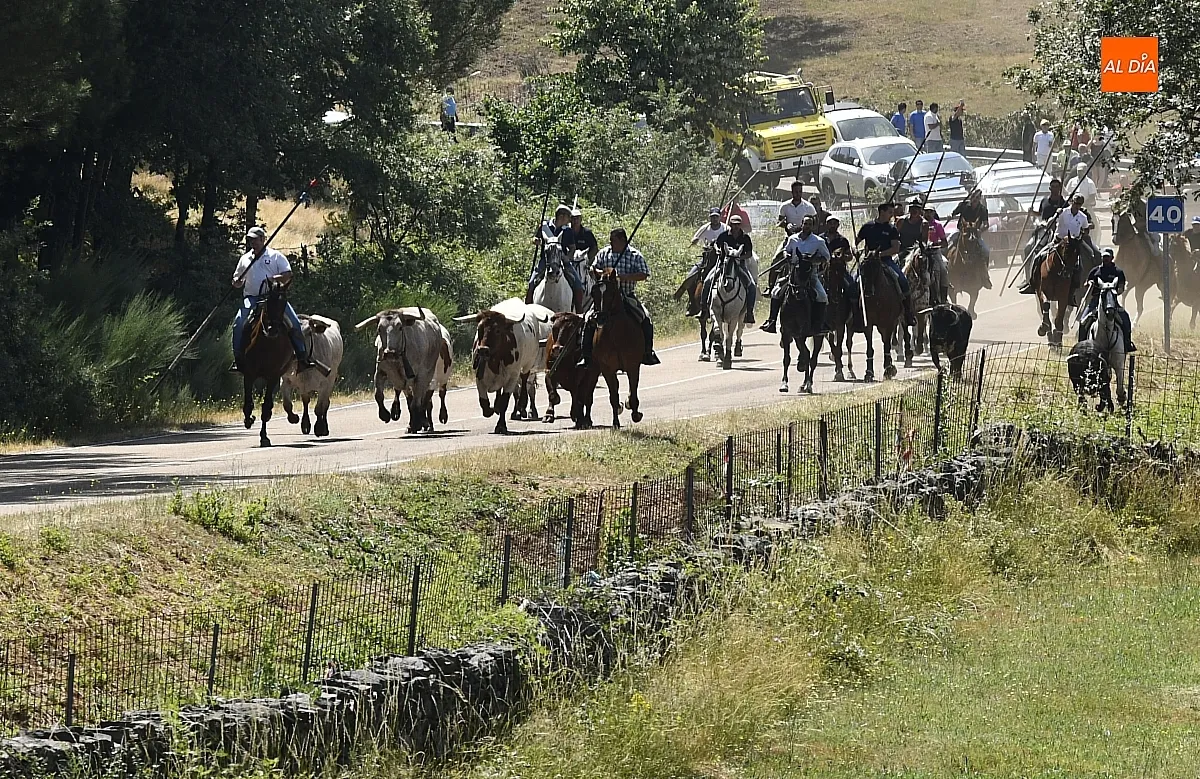 Encierro a Caballo en Navasfrías/ Fotos: Adrián M.Pastor
