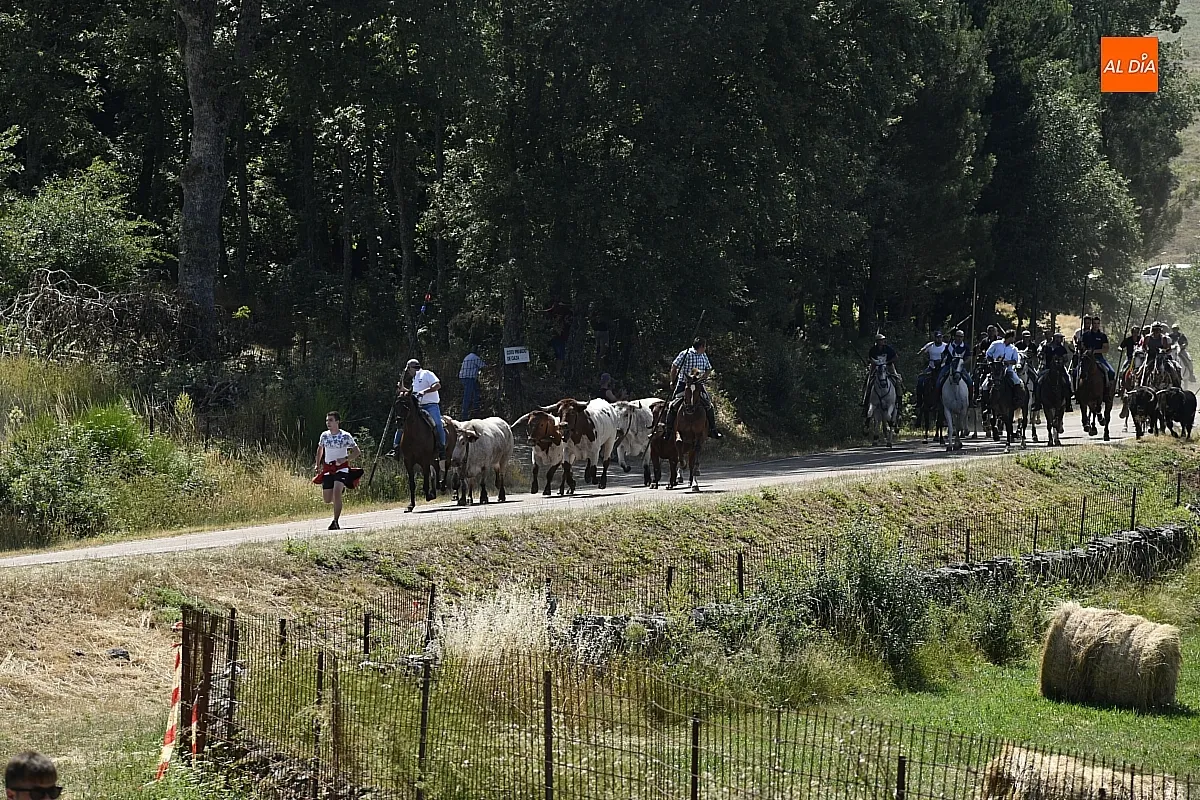 Encierro a Caballo en Navasfrías/ Fotos: Adrián M.Pastor