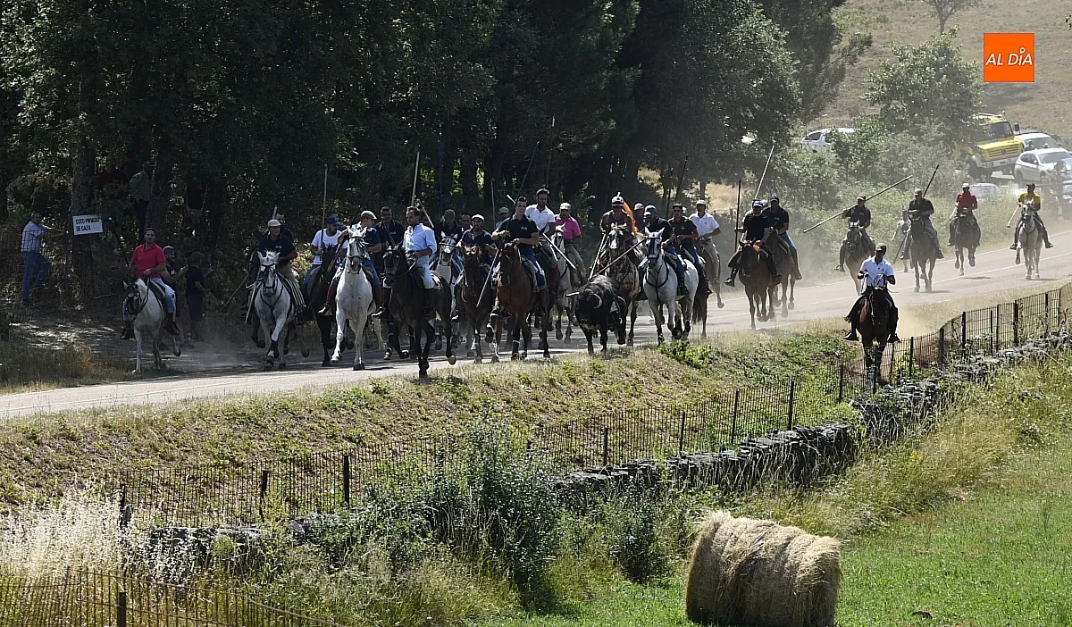 Encierro a Caballo en Navasfrías/ Fotos: Adrián M.Pastor