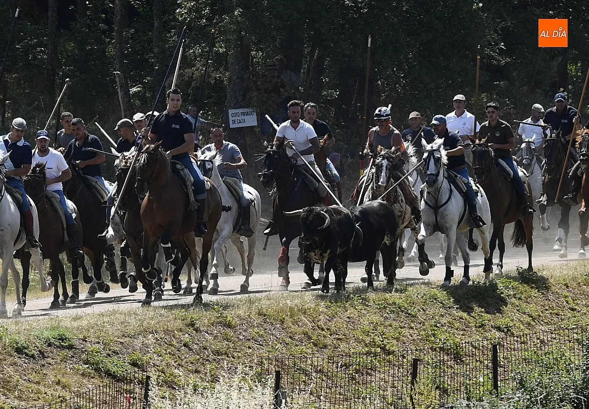 Encierro a Caballo en Navasfrías/ Fotos: Adrián M.Pastor