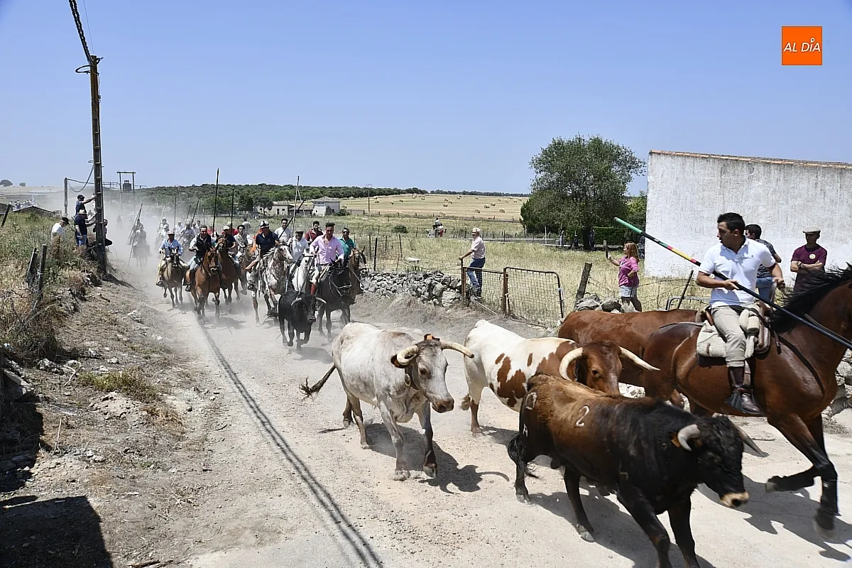 Encierro a Caballo Martín de Yeltes / Fotos: Adrián M.Pastor