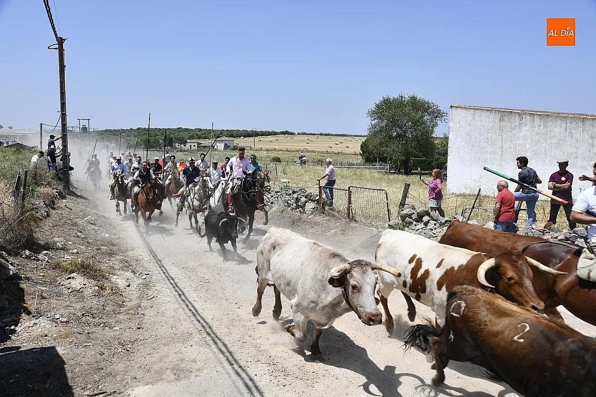 Encierro a Caballo Martín de Yeltes / Fotos: Adrián M.Pastor
