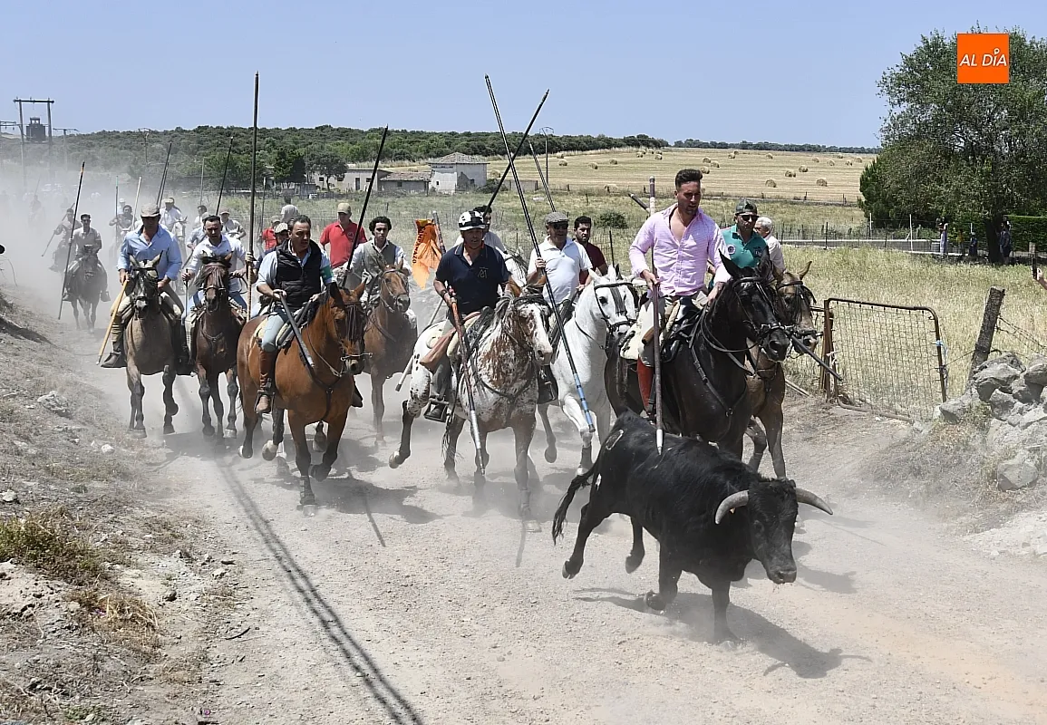 Encierro a Caballo Martín de Yeltes / Fotos: Adrián M.Pastor