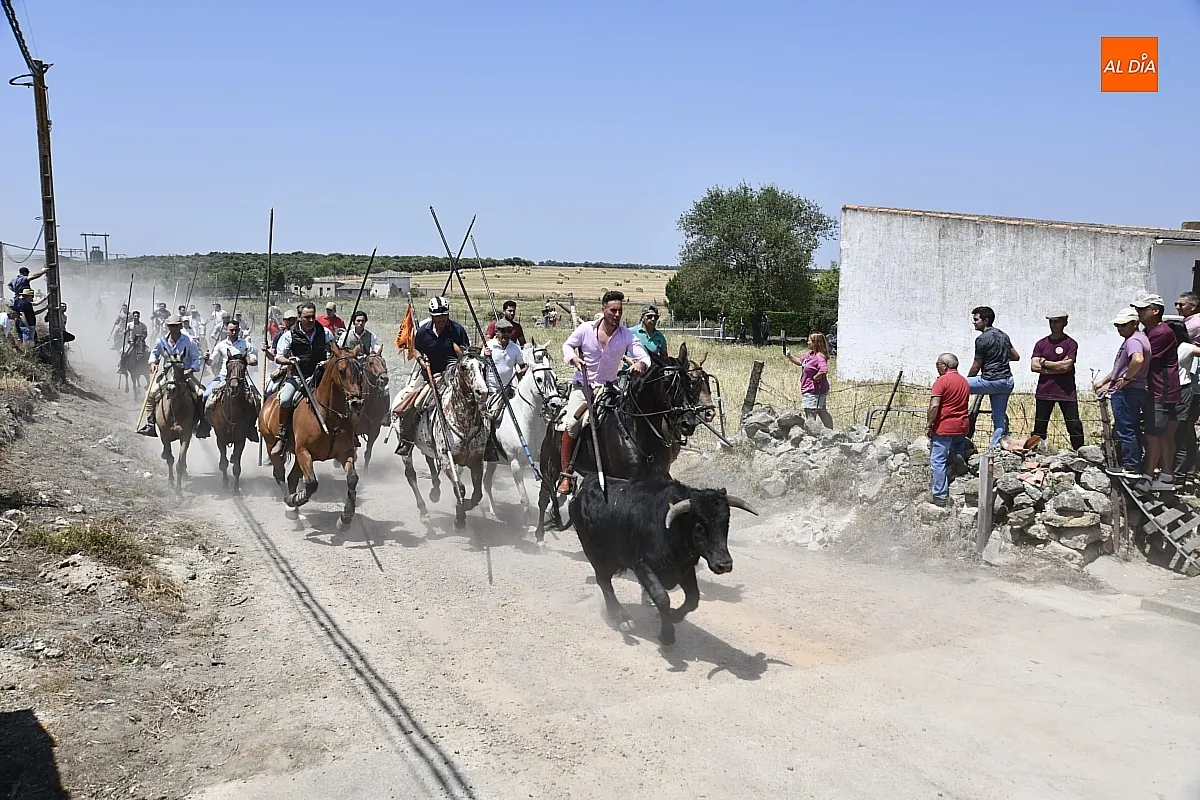 Encierro a Caballo Martín de Yeltes / Fotos: Adrián M.Pastor