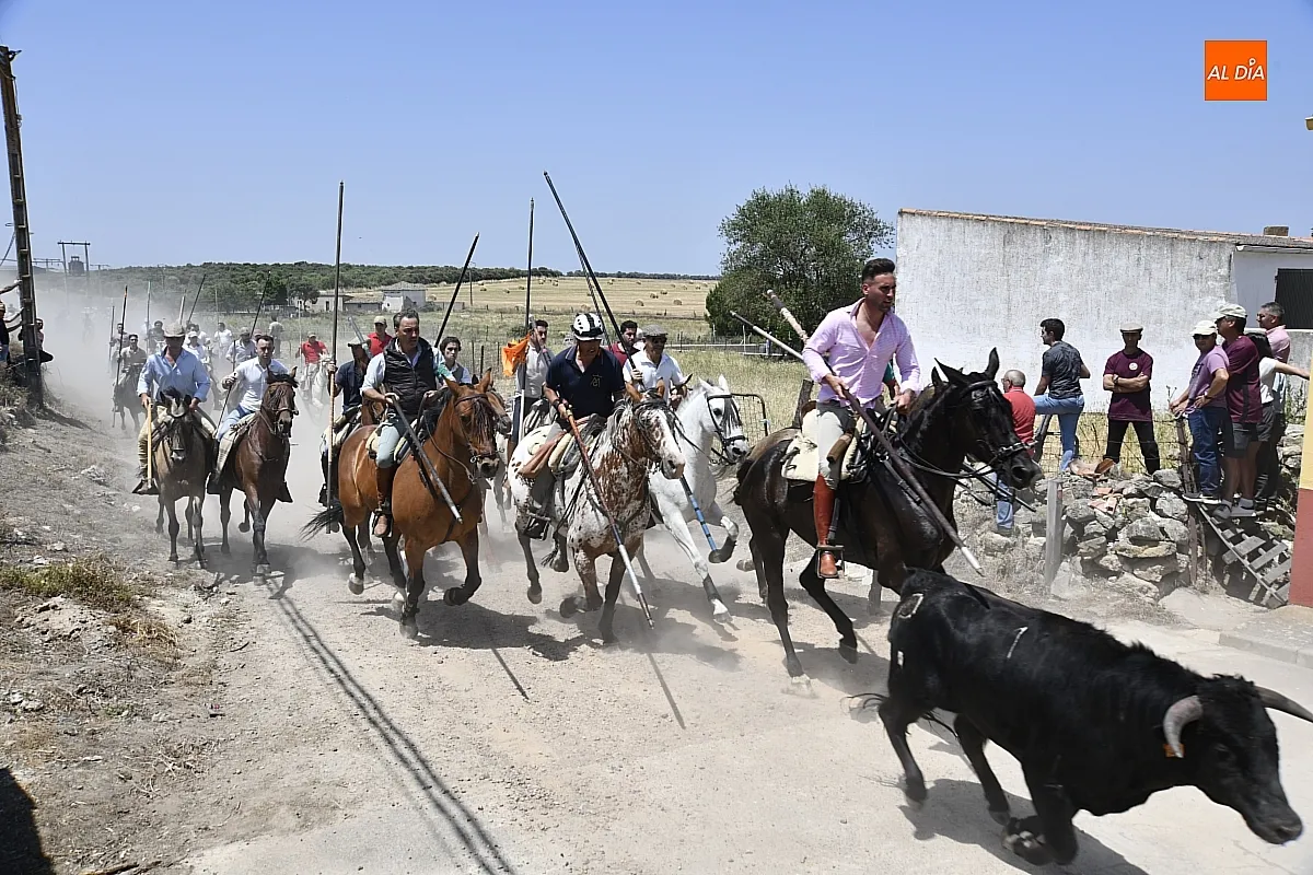Encierro a Caballo Martín de Yeltes / Fotos: Adrián M.Pastor