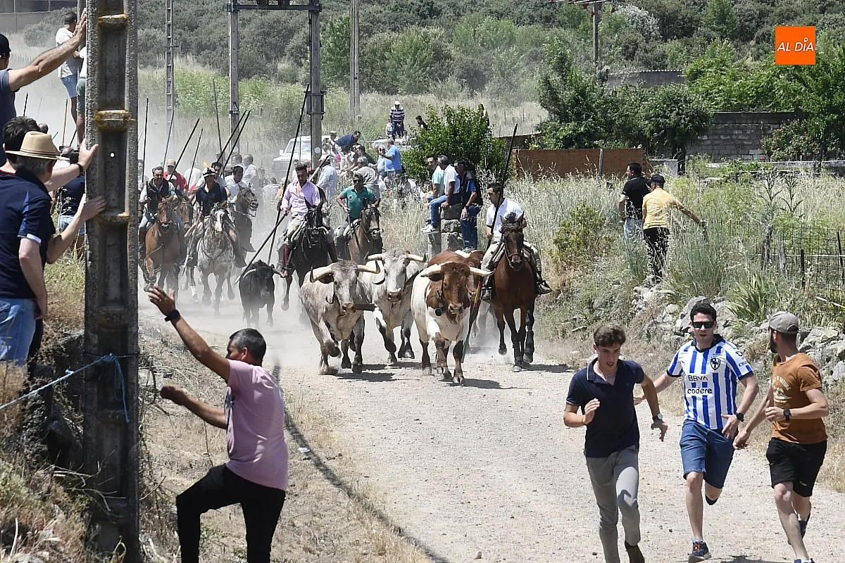 Encierro a Caballo Martín de Yeltes / Fotos: Adrián M.Pastor