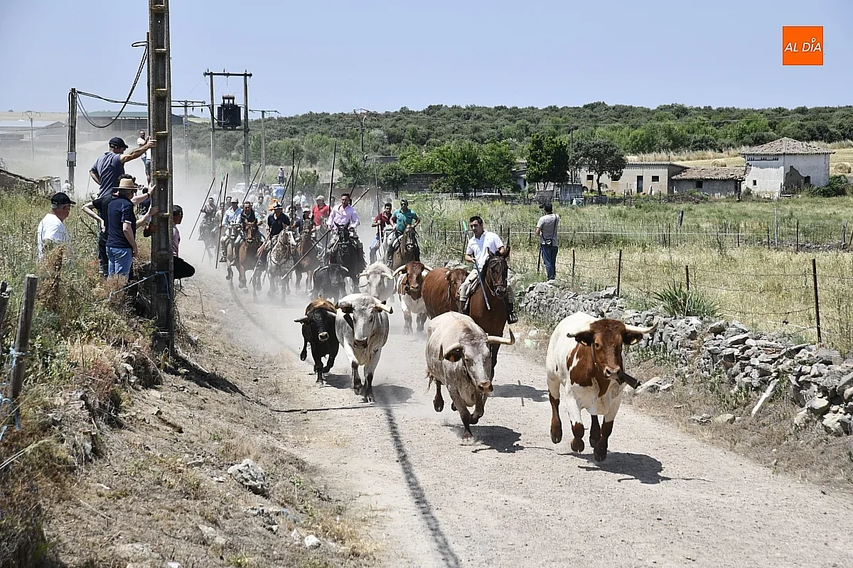 Encierro a Caballo Martín de Yeltes / Fotos: Adrián M.Pastor