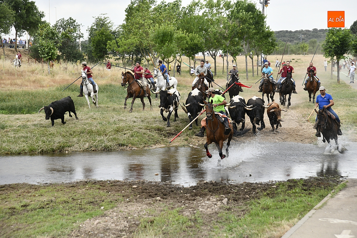 Un segundo encierro a caballo no deja enfriar el Corpus en Sancti Spíritus