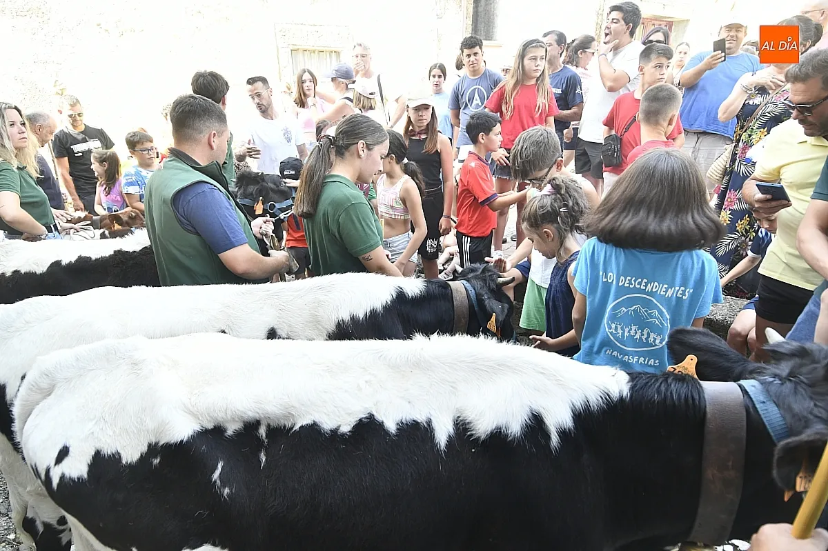 Fiestas SAn Juan Navasfrías/ Fotos: Adrián M.Pastor