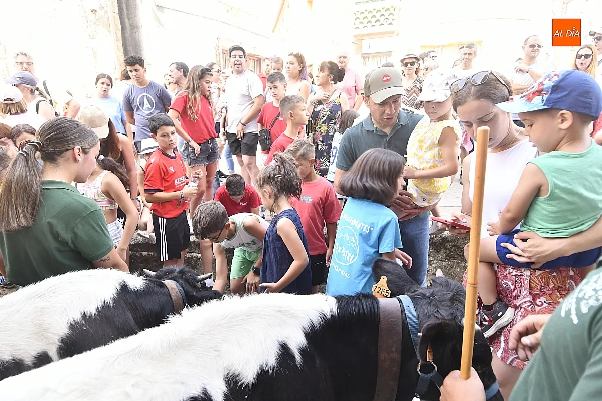 Fiestas SAn Juan Navasfrías/ Fotos: Adrián M.Pastor