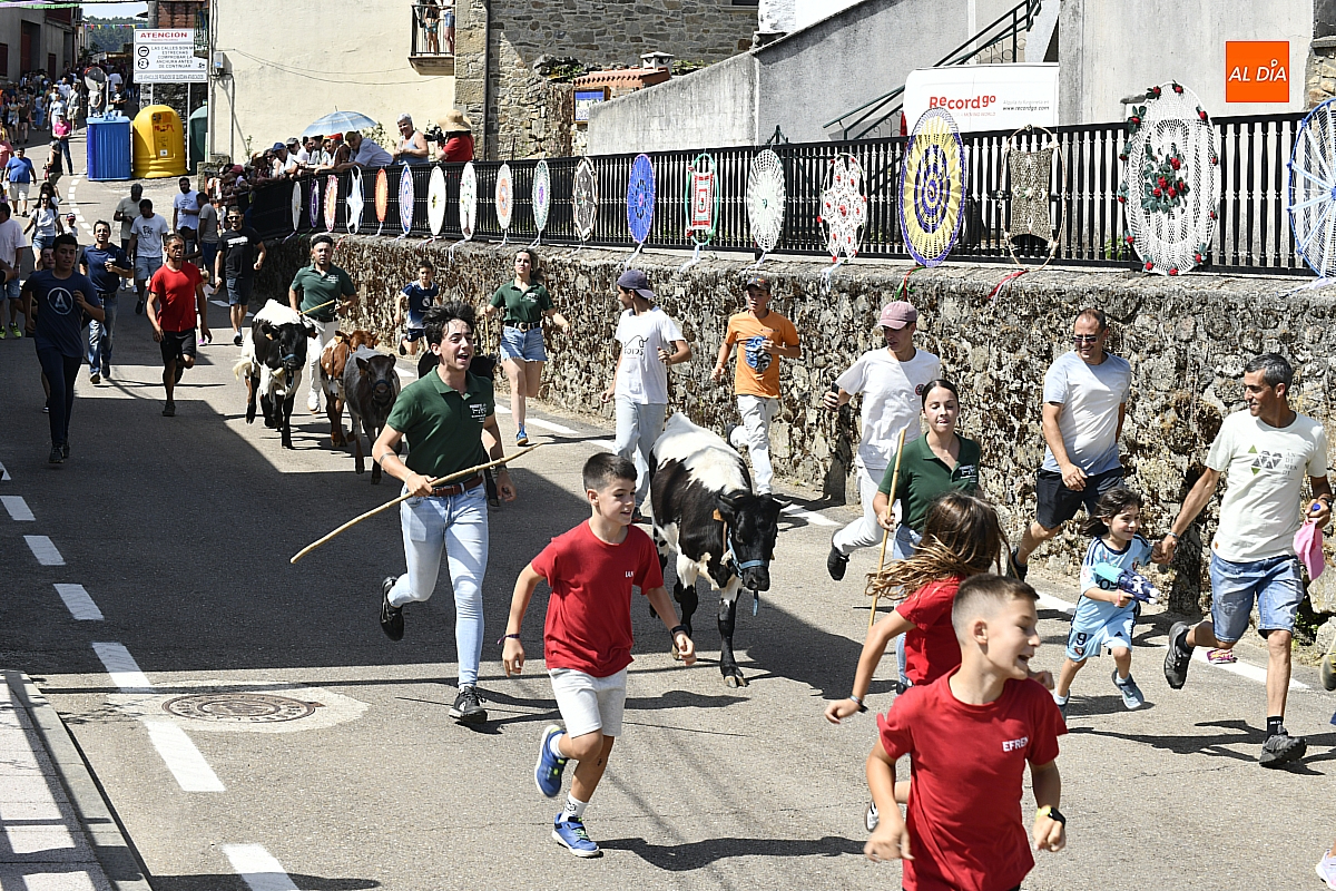 Triple ración taurina en la última mañana sanjuanera de Navasfrías