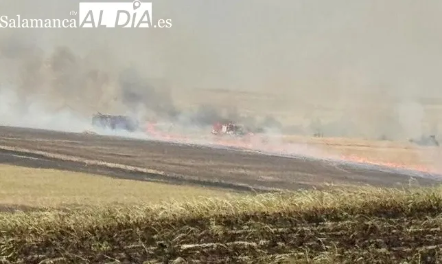 Foto 7 - Hasta 13 medios, entre a&eacute;reos y terrestres, logran extinguir un potente incendio de cultivos en Malpartida