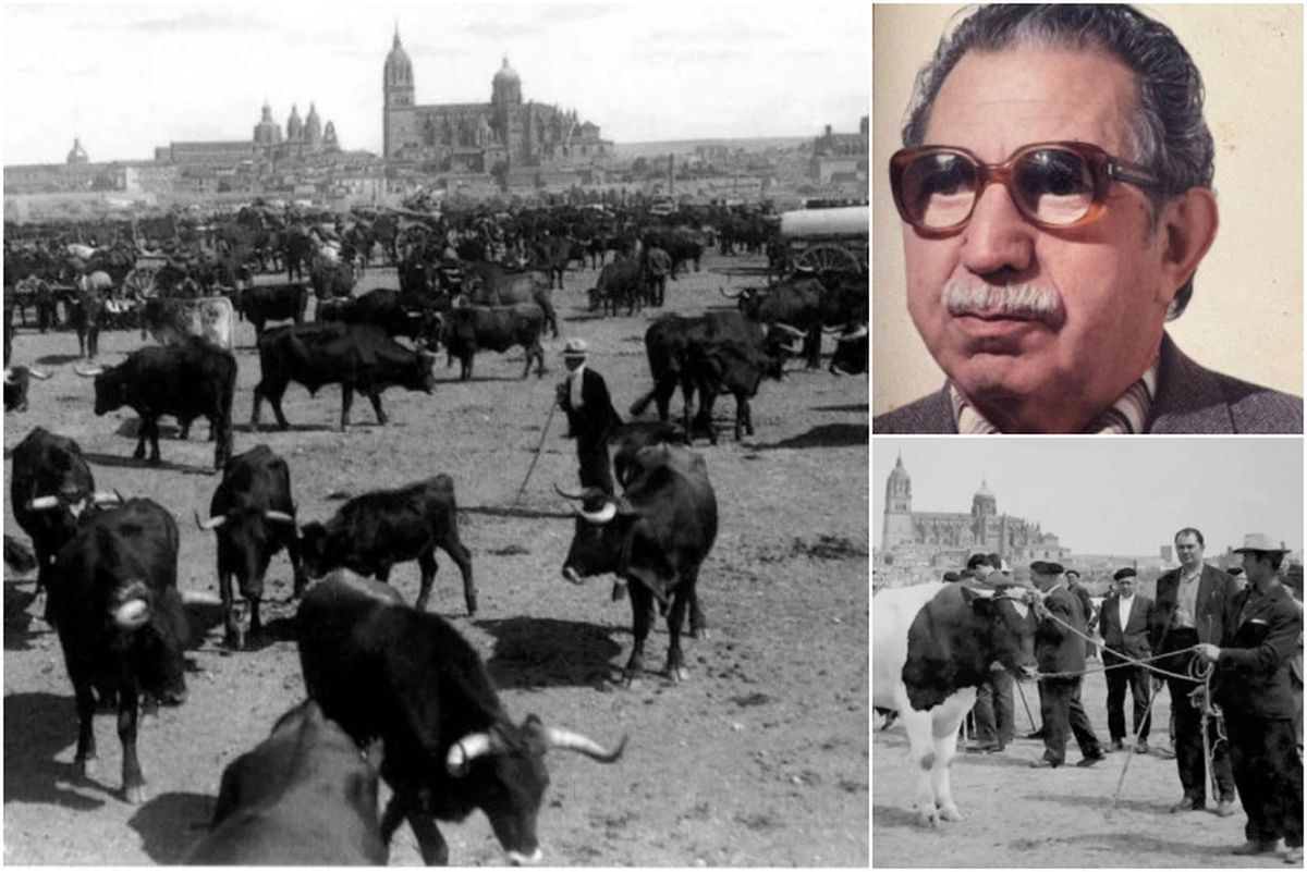 La revista Ferias, Mercados y Mataderos celebra su número 3.000