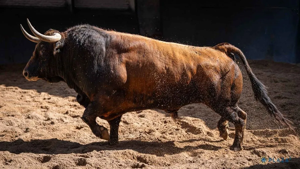 'Chorlito', toro de la confirmación de alternativa de Ismael Martín en Las Ventas 