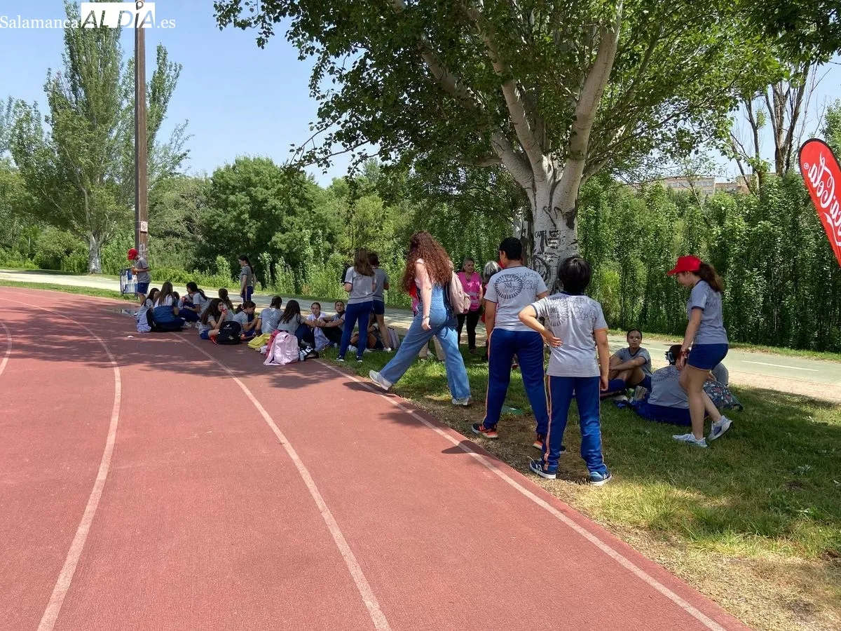 Jornada de recogida de residuos en la ribera del río Tormes, junto al emblemático Puente Romano. Foto de Vanesa Martins