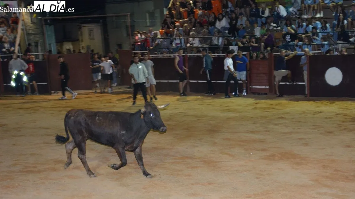 Las gradas del coso taurino se llenó de público durante los actos celebrados anoche