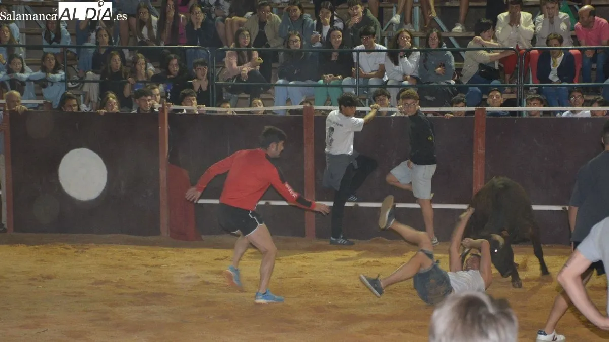 Las gradas del coso taurino se llenó de público durante los actos celebrados anoche