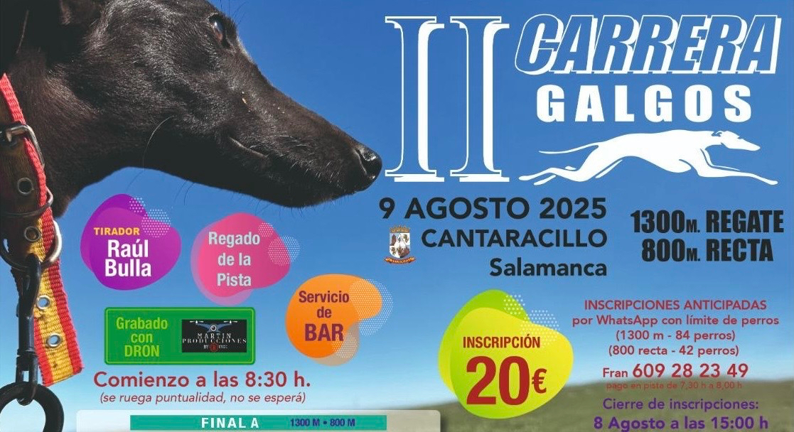 Carrera de galgos en Cantaracillo: inscripciones y premios