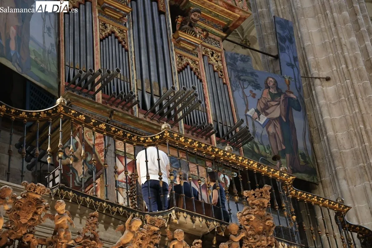 Concierto del prestigioso organista italiano Francesco di Lernia en la Catedral Nueva de Salamanca. Fotos: David Sañudo