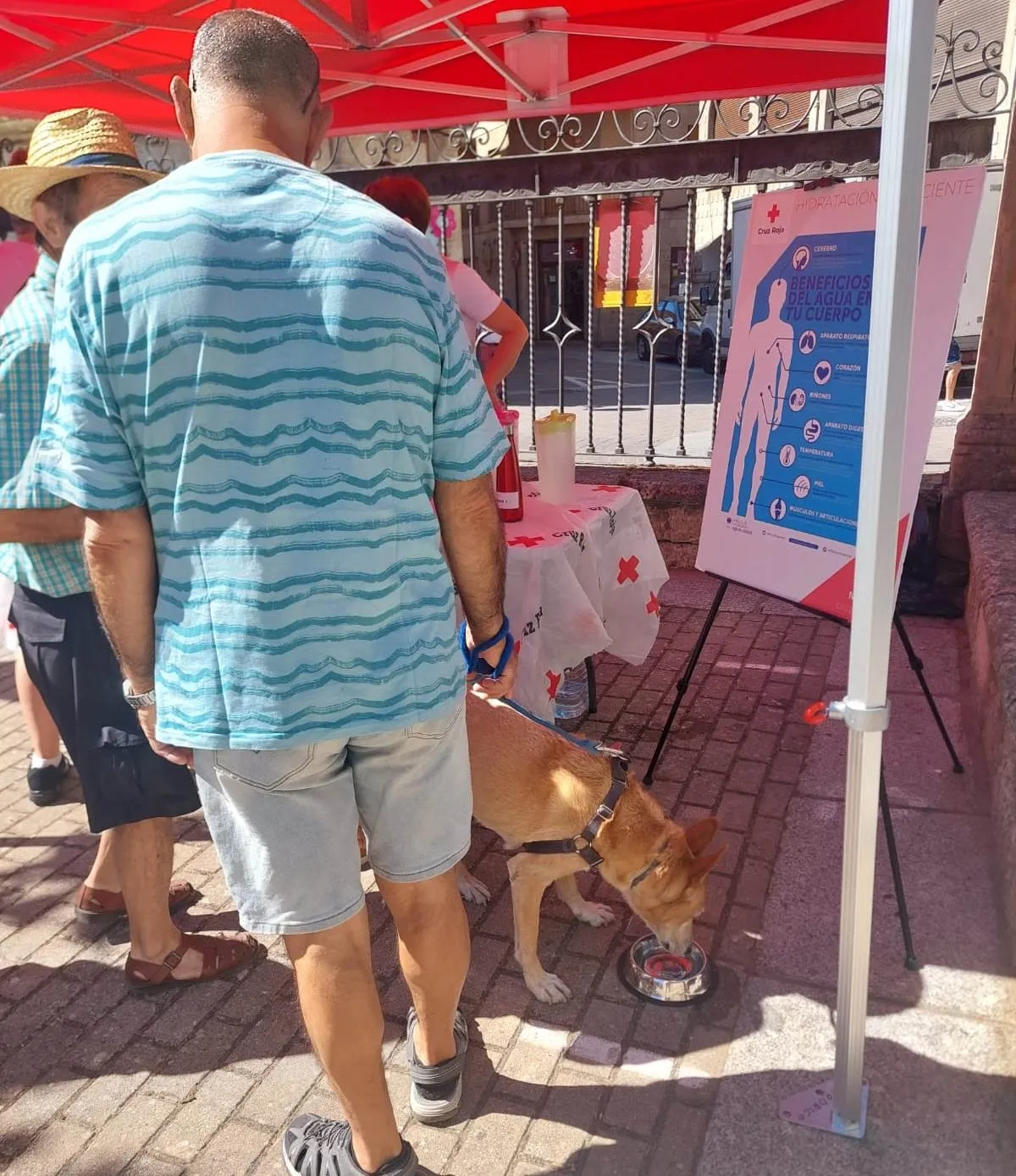 Foto 3 - Cruz Roja conciencia a mirobrigenses y forasteros sobre los riesgos del calor