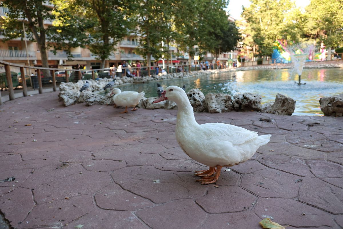 Parque de la Alamedilla, Salamanca