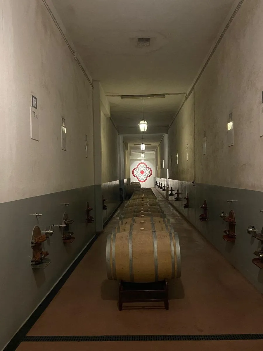 Foto 6 - El enoturismo se sofistica en el D&atilde;o: un viaje al coraz&oacute;n del vino portugu&eacute;s