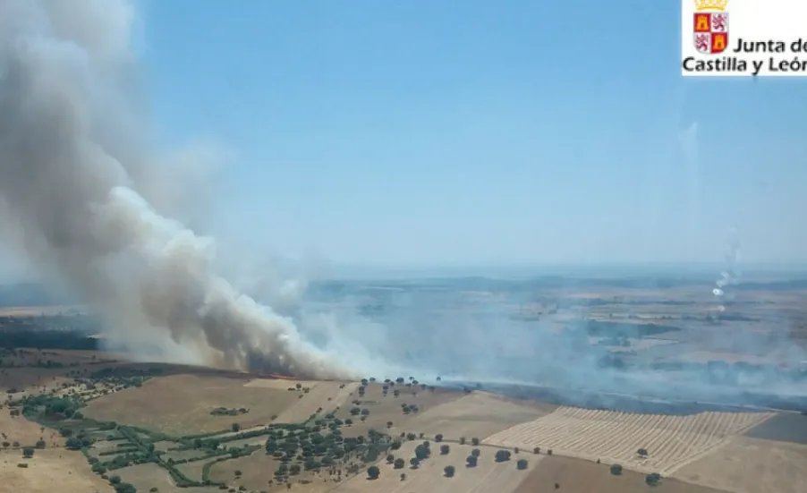 Imágenes difundidas por la Junta de Castilla y León