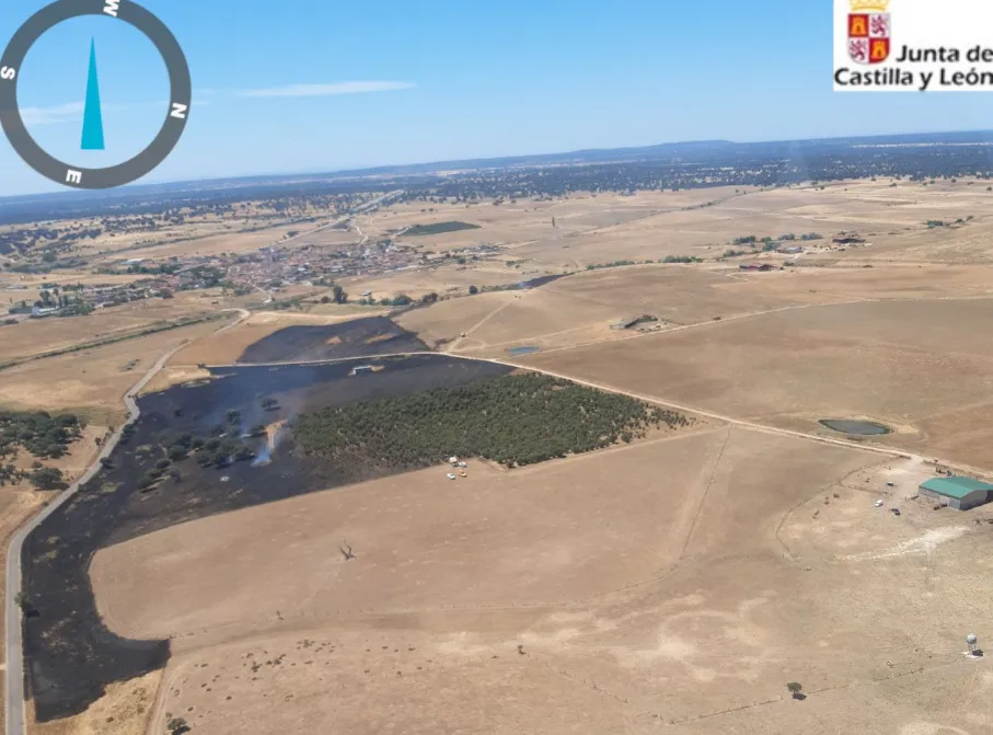 Foto 2 - El incendio de Mart&iacute;n de Yeltes deja 20 hect&aacute;reas de pasto calcinadas