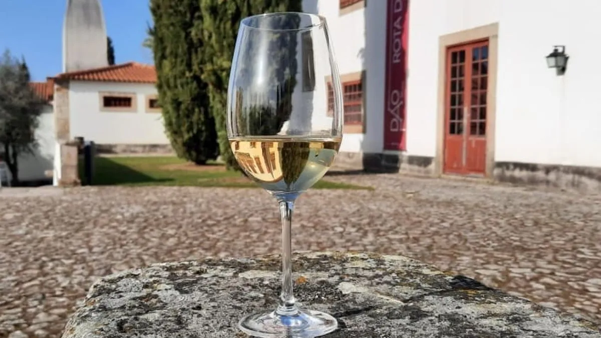 Foto 4 - El enoturismo se sofistica en el D&atilde;o: un viaje al coraz&oacute;n del vino portugu&eacute;s