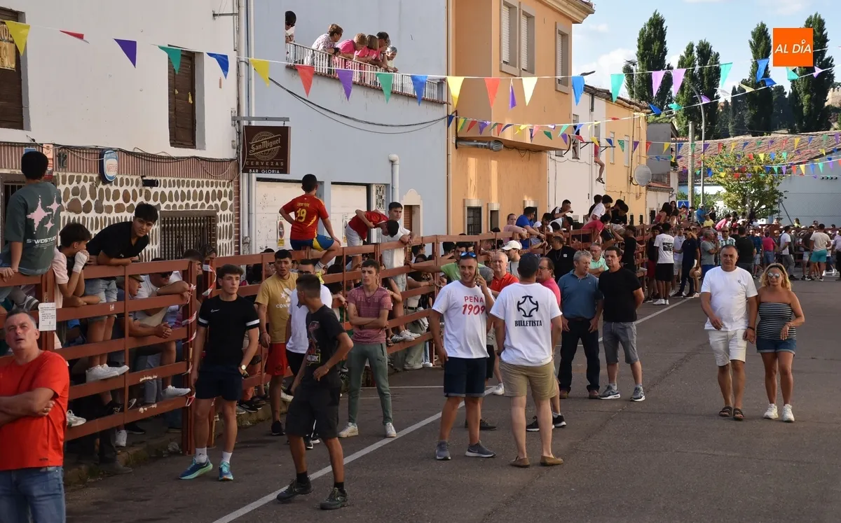 Foto 2 - El Barrio Nuevo vive su gran fiesta anual con dos vacas de gran juego y una que se lesion&oacute; al salir