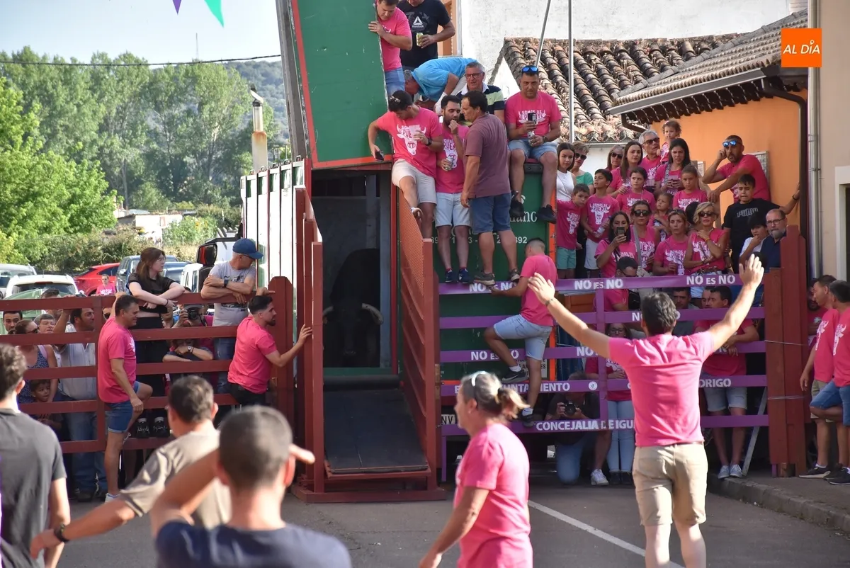 Foto 6 - El Barrio Nuevo vive su gran fiesta anual con dos vacas de gran juego y una que se lesion&oacute; al salir