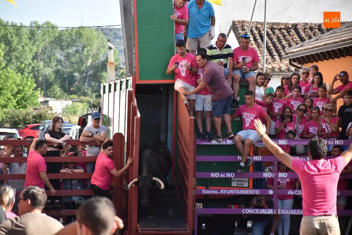 Foto 7 - El Barrio Nuevo vive su gran fiesta anual con dos vacas de gran juego y una que se lesion&oacute; al salir