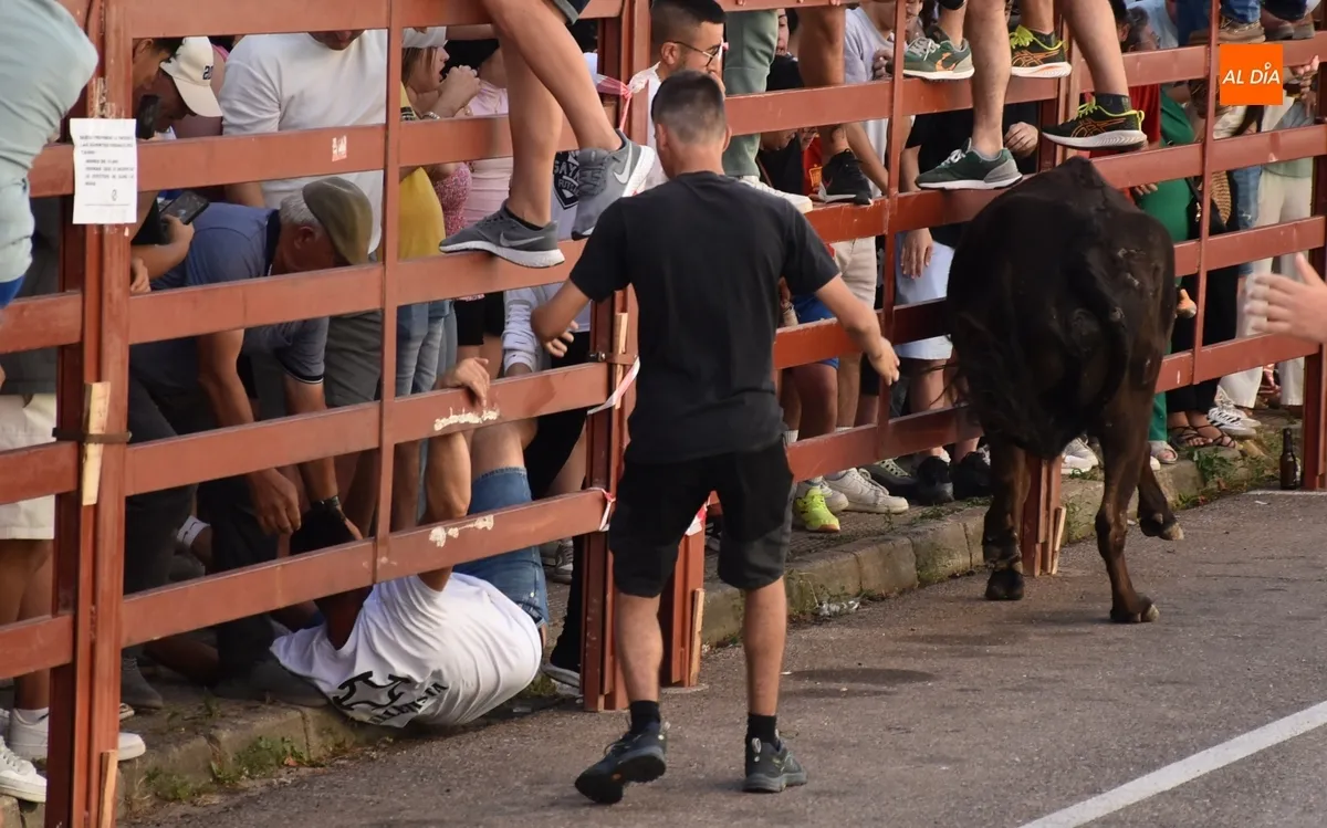 Foto 10 - El Barrio Nuevo vive su gran fiesta anual con dos vacas de gran juego y una que se lesion&oacute; al salir
