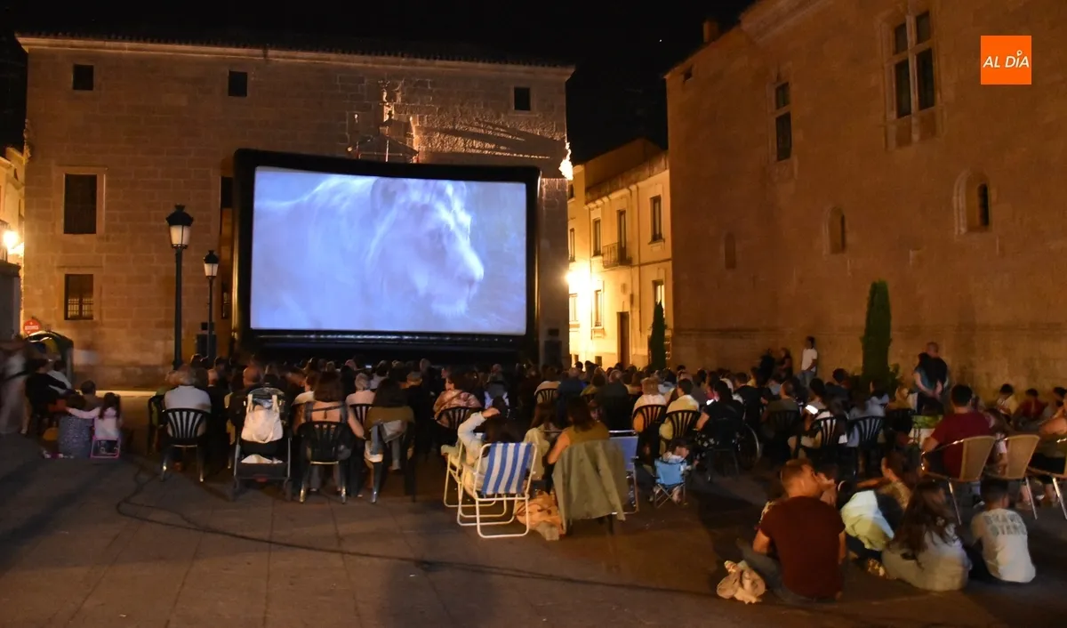 Foto 8 - Entretenida velada de cine al aire libre descubriendo la legendaria historia de Mufasa