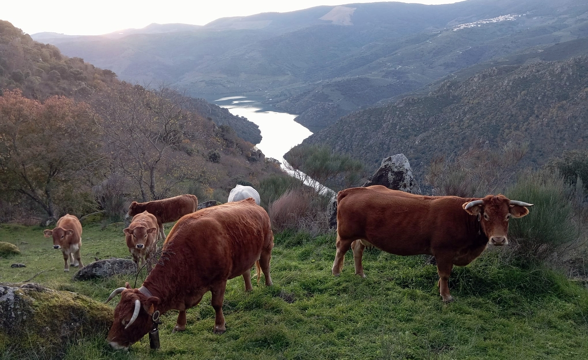 Dehesa Grande se reivindica en el Día Internacional de las Cooperativas