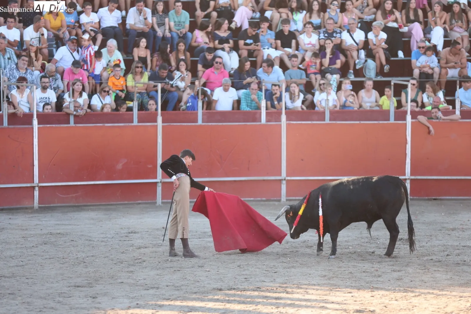 Foto 17 - &Eacute;xito en Santa Marta con la clase pr&aacute;ctica de la Escuela de Tauromaquia de Salamanca