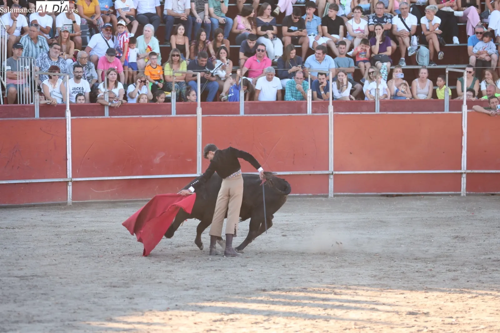 Foto 16 - &Eacute;xito en Santa Marta con la clase pr&aacute;ctica de la Escuela de Tauromaquia de Salamanca