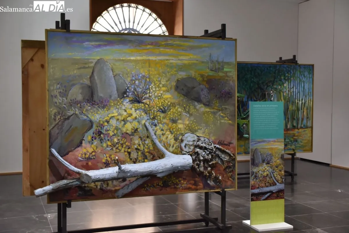 Exposición 