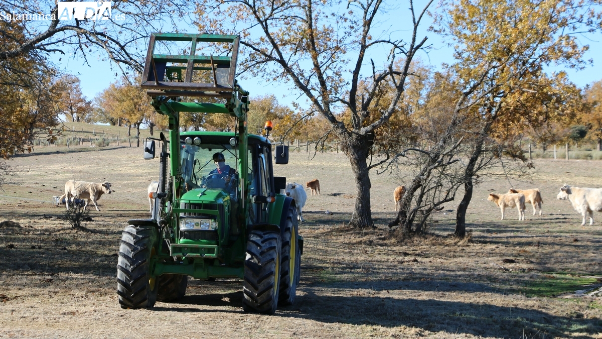 Las ayudas para favorecer la modernización y el relevo generacional del campo se podrán solicitar hasta el 31 de octubre