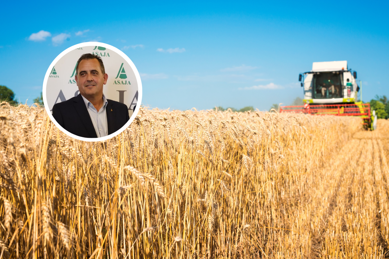 Cereal Salamanca: récord de cosecha y beneficio mínimo