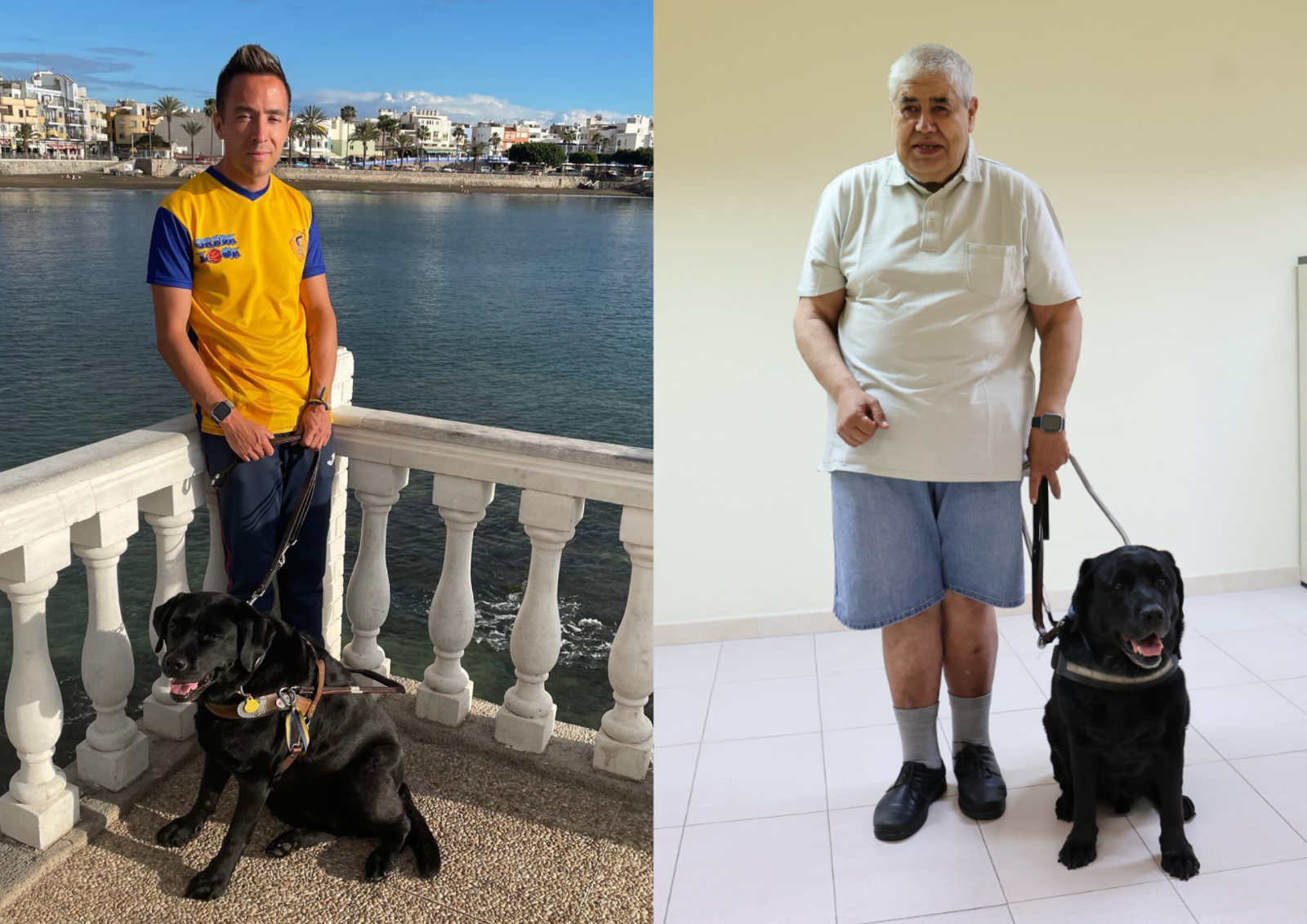 Lucy y Kross, dos perros guías que son esenciales para ayudar a sus dueños