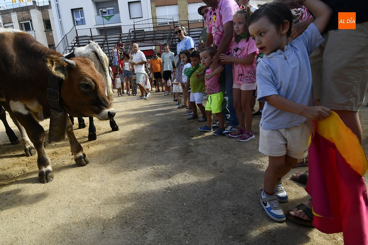 Moraleja forja su futuro taurino con encierro infantil de minibueyes