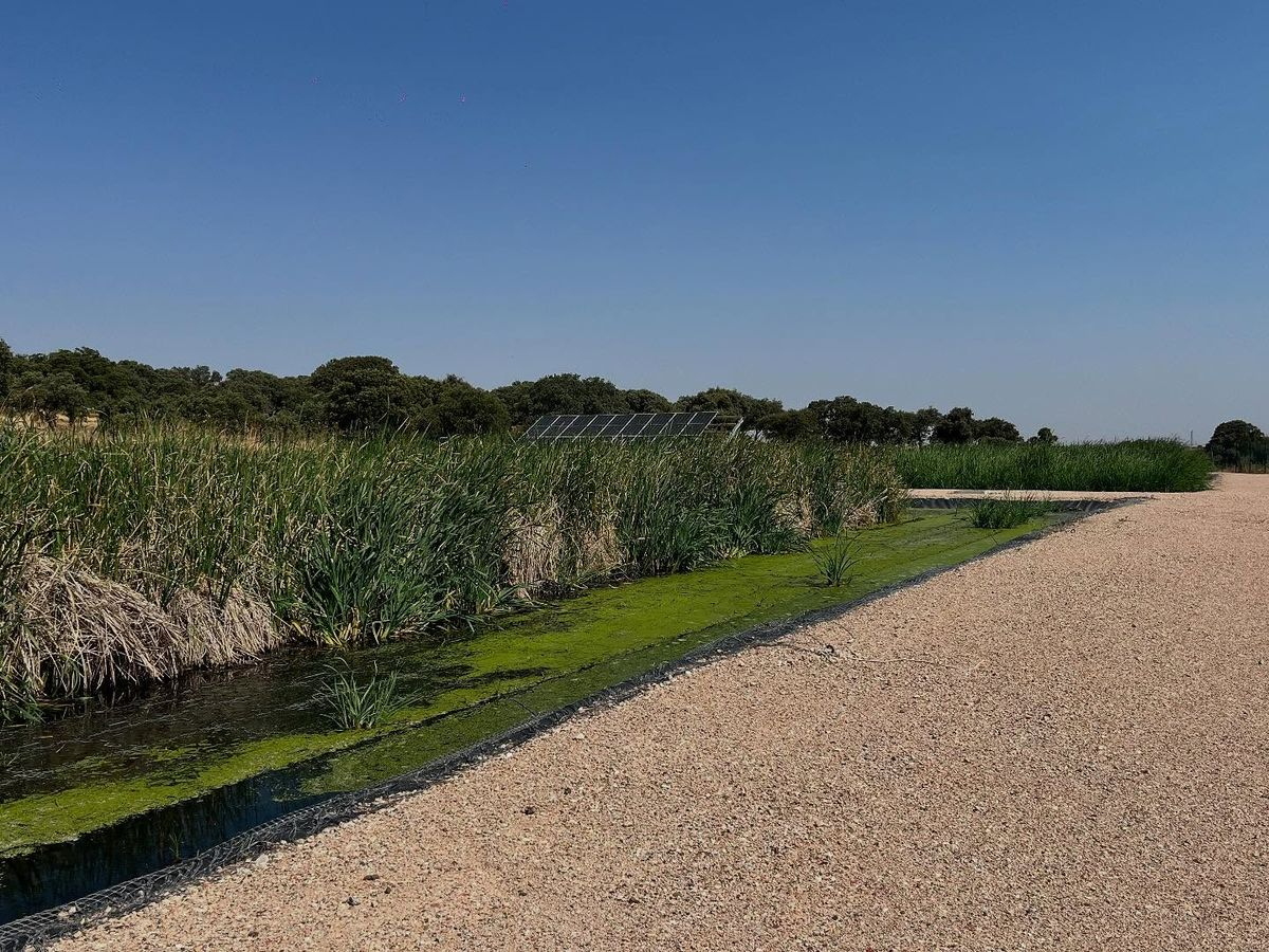 Mozárbez inaugura su nueva Estación Depuradora de Aguas Residuales (EDAR) con una inversión de 820.000€