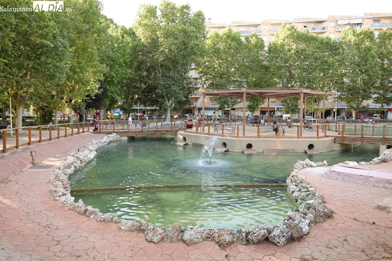 Estanque del parque de La Alamedilla de Salamanca. Foto: David Sañudo