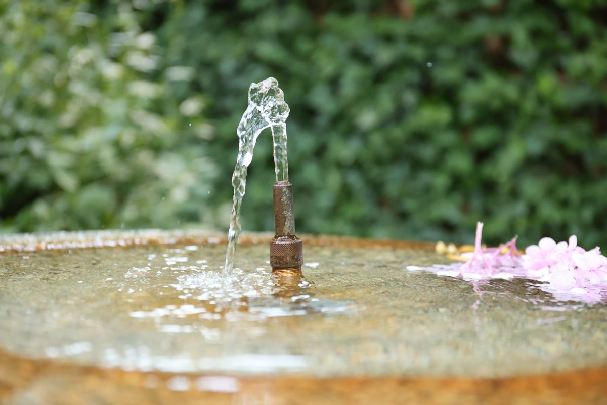 Huerto Calixto y Melibea, Salamanca