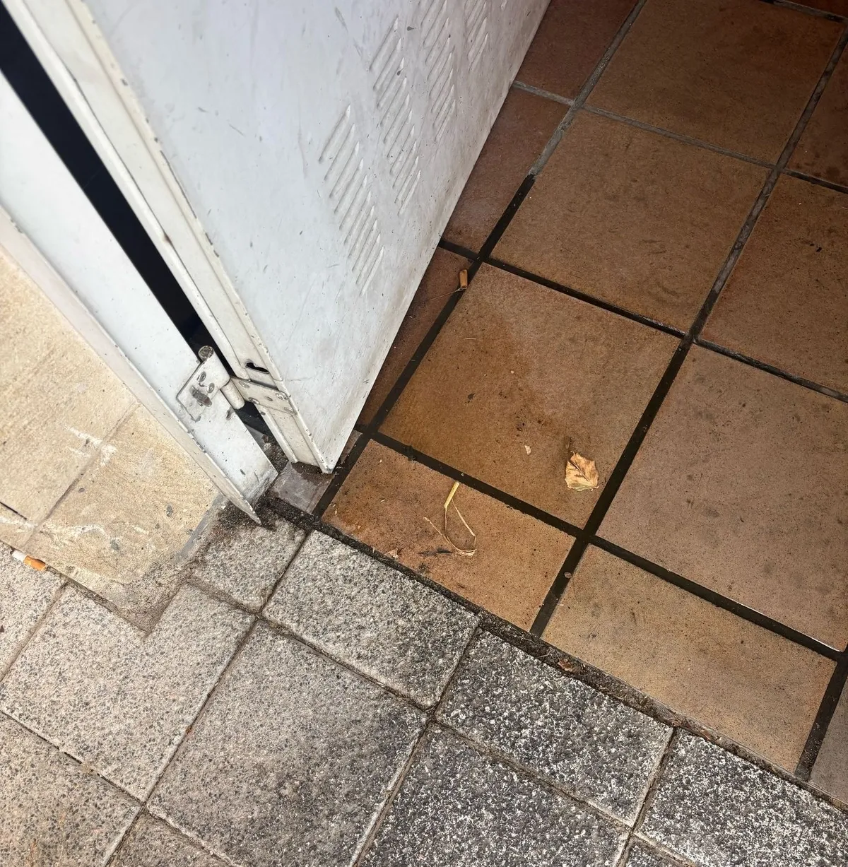 Foto 2 - Denuncian la insalubridad de los servicios exteriores del Mercado de Abastos