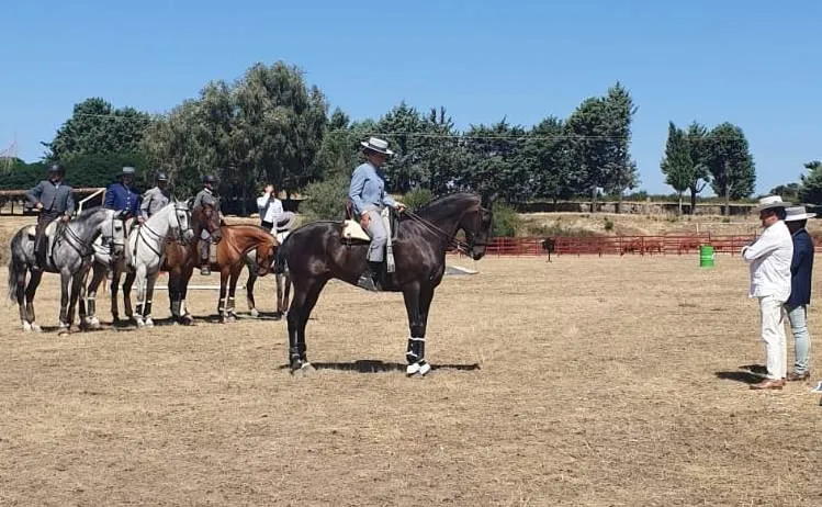 Foto 9 - Fuenteguinaldo cumple 10 a&ntilde;os como referencia de la Equitaci&oacute;n de Trabajo