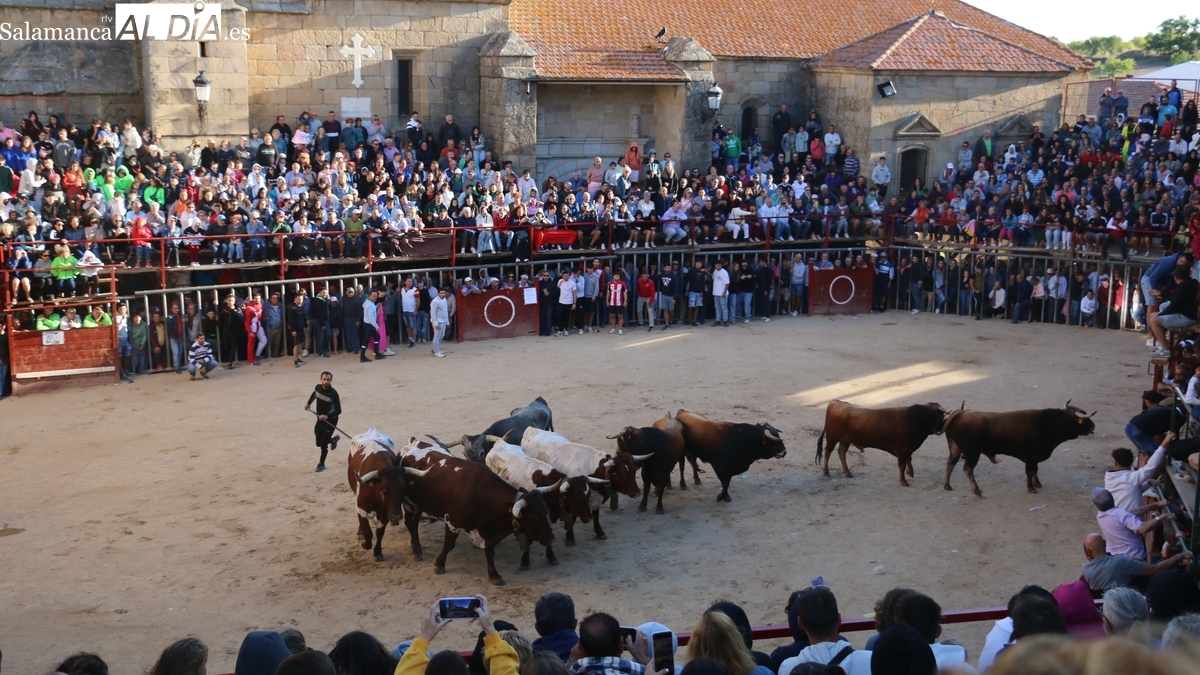 Feria del Toro de Aldeadávila 2025: actos y programa
