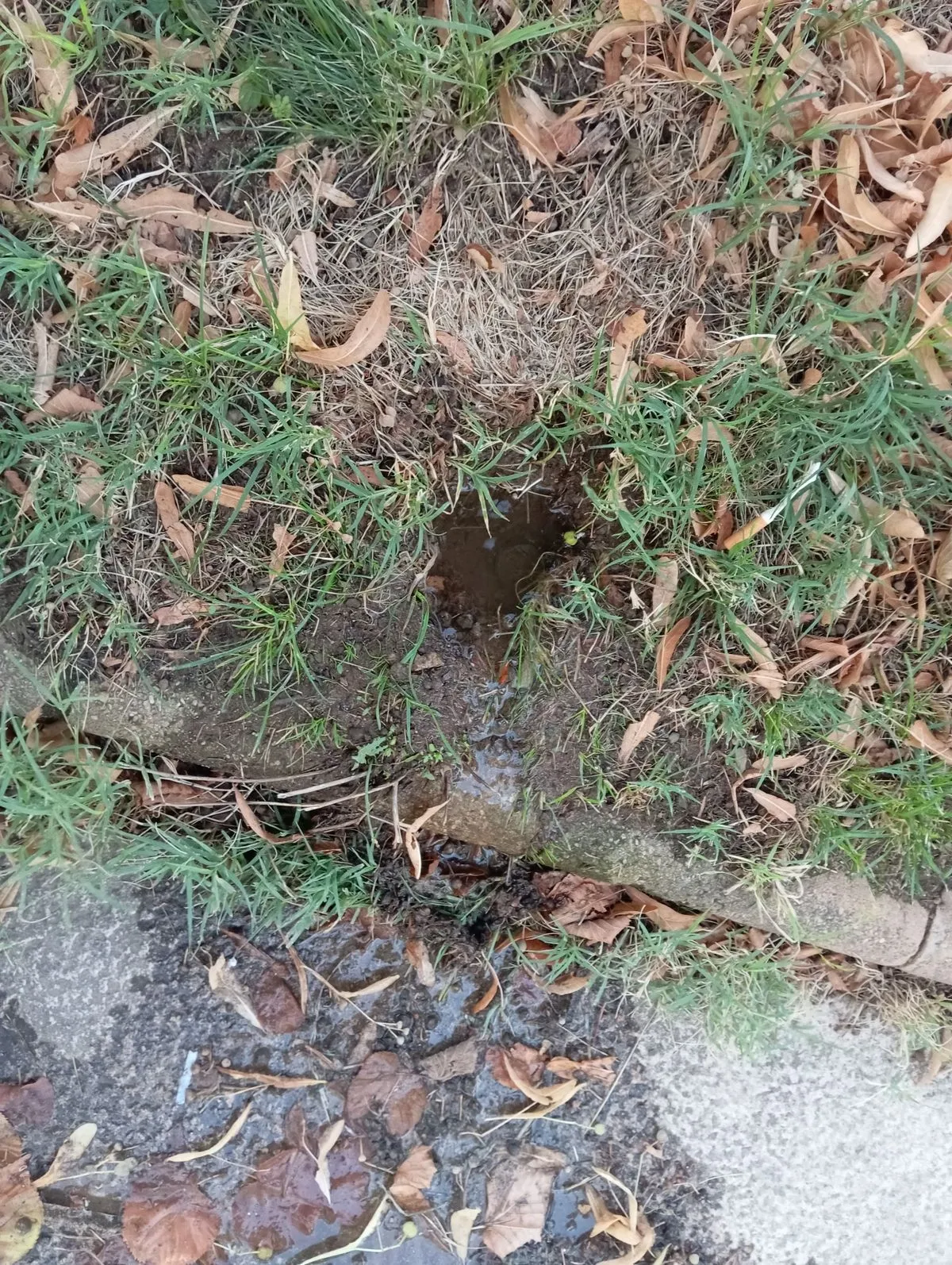 Fuga de Agua en la calle Poeta Jesús Rasueros